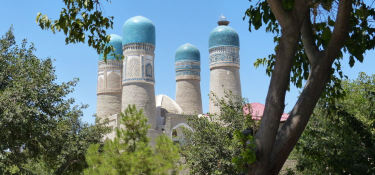 Ouzbékistan, entre champs de coton et mal de bidon !