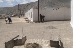 Pamir - Village de Murghab