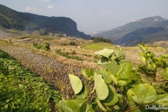 Pugaolao - Duoyishu rice terraces