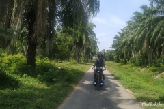 Sur la route Malacca - Batu Pahat