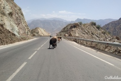 Sur la route de Kalaikhum