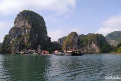 Bai Tu Long Bay - Indochina Junks